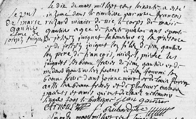 i1179L Marie GAULTIER.jpg